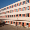 Congratulations on the opening of the company website